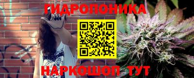 стаф Шебекино
