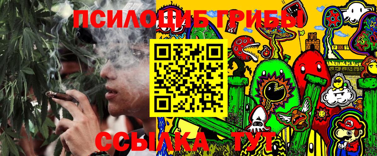Псилоцибиновые грибы MAGIC MUSHROOMS  Вход с VPN  Кольчугино  Псилоцибиновые грибы Cubensis 