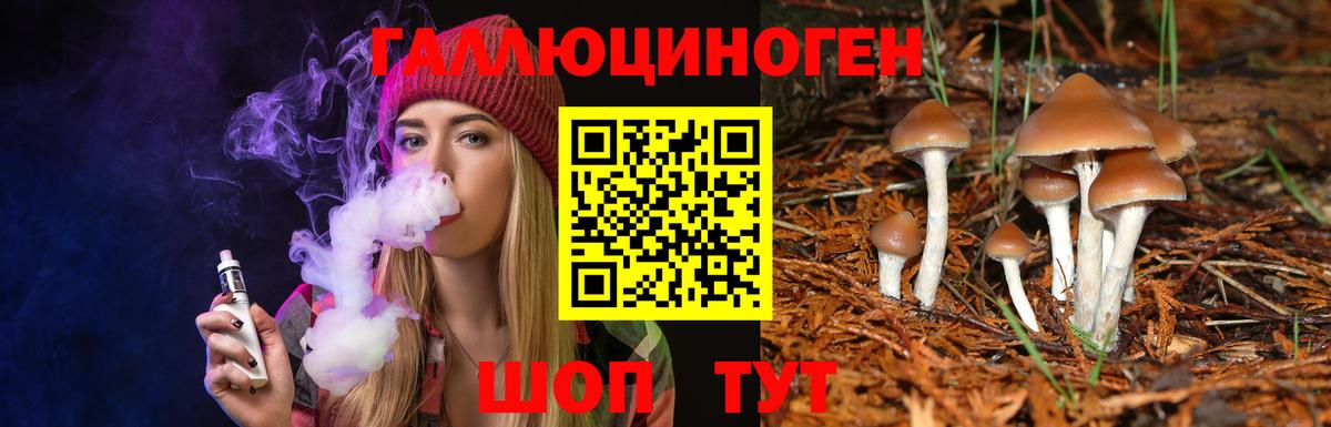 Галлюциногенные грибы мицелий Кольчугино